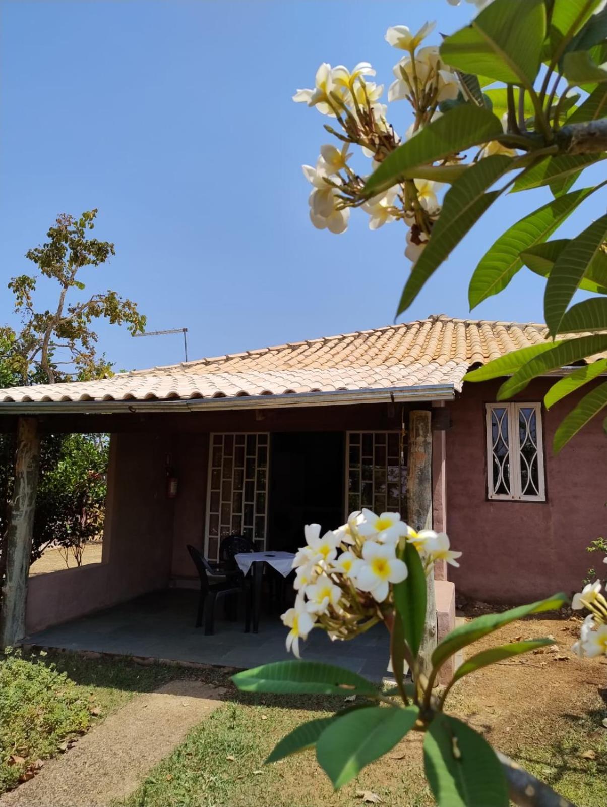 Pousada Refugio Da Serra Pirenópolis Oda fotoğraf
